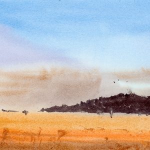 Le chant du blé