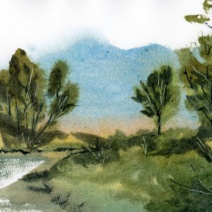 Sous le regard des Arbres